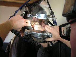 Behandeling 02
